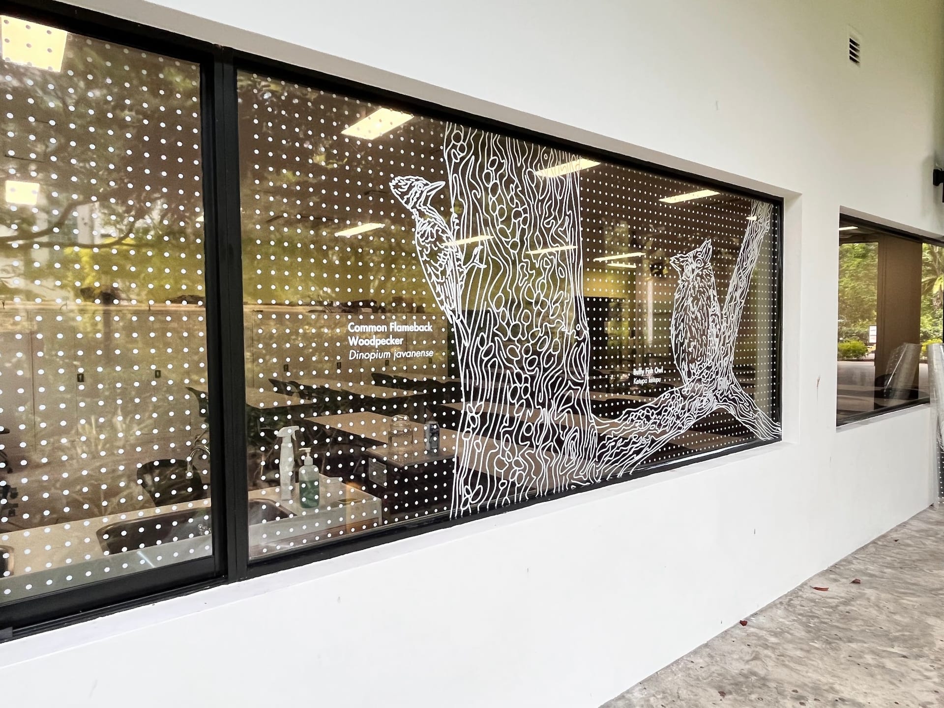 Cut-frosted bird design window film — frosted window film in Singapore by Garrison Productions