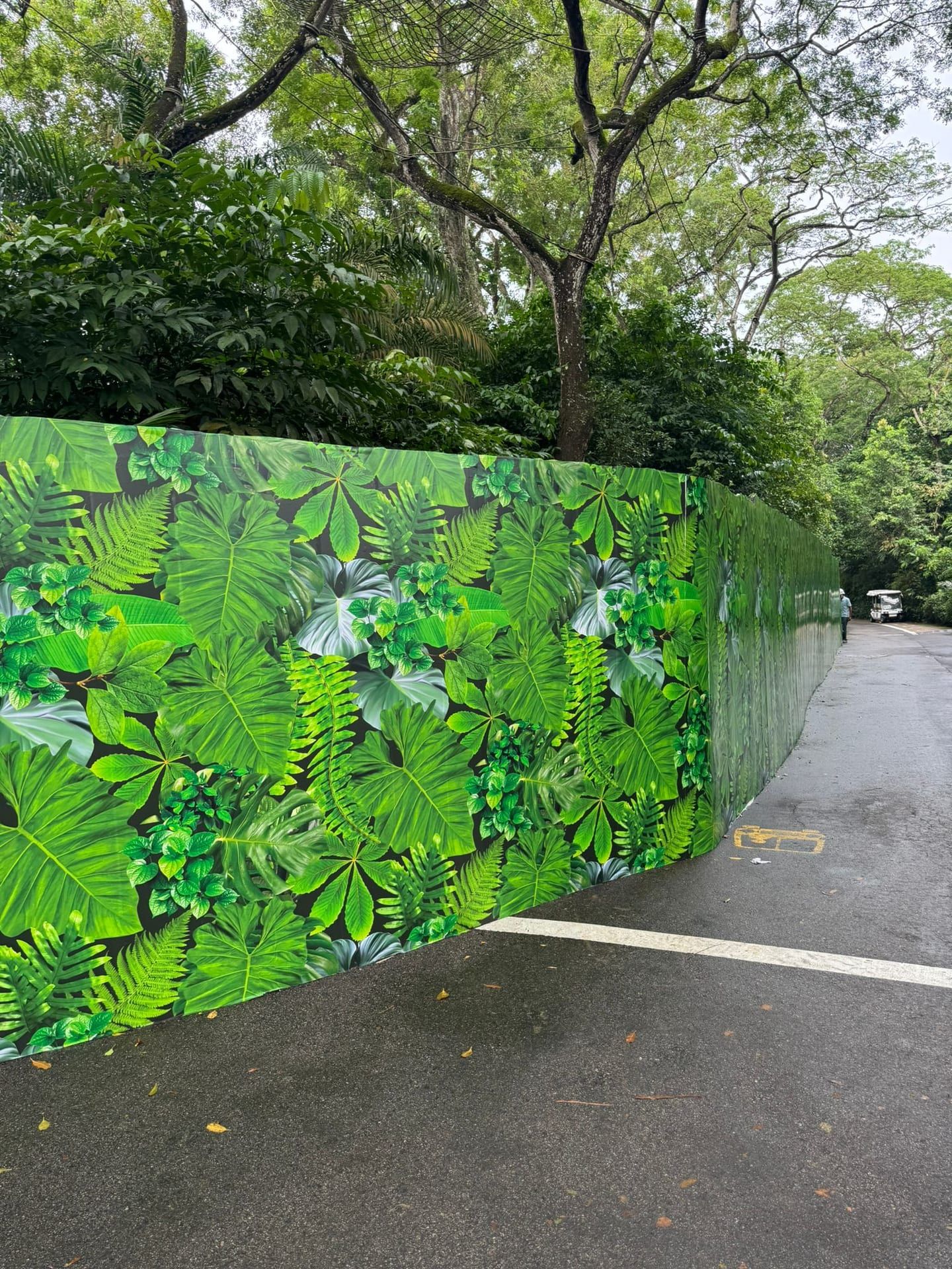 Mandai Wildlife Reserve jungle hoarding beside a park road — Hoarding Sticker Printing by Garrison Productions, Singapore