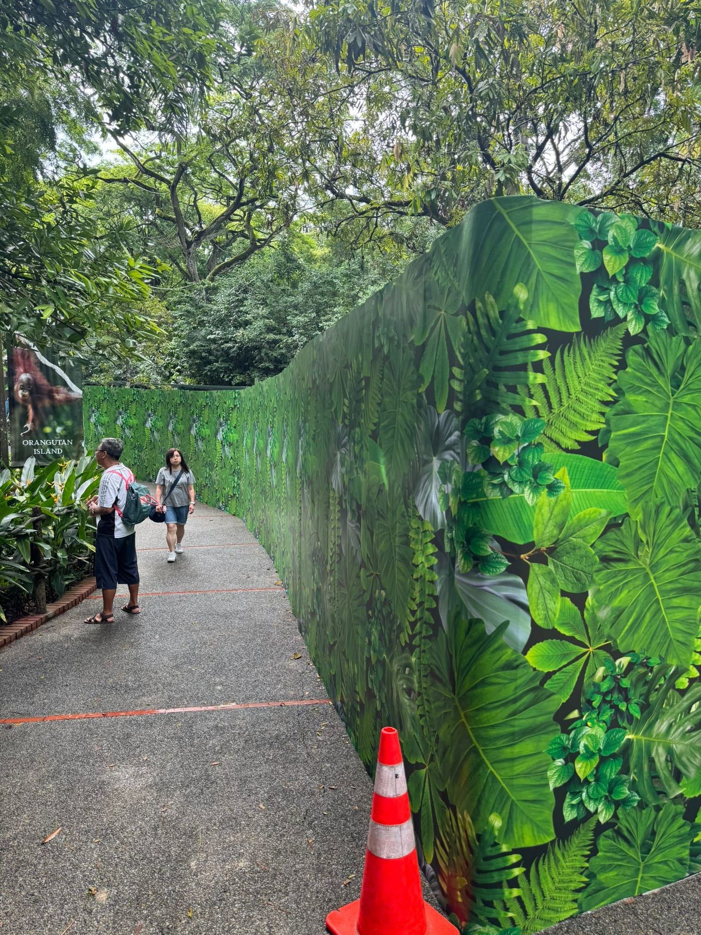 Mandai Wildlife Reserve jungle hoarding along a park path with cone — Hoarding Sticker Printing by Garrison Productions, Singapore