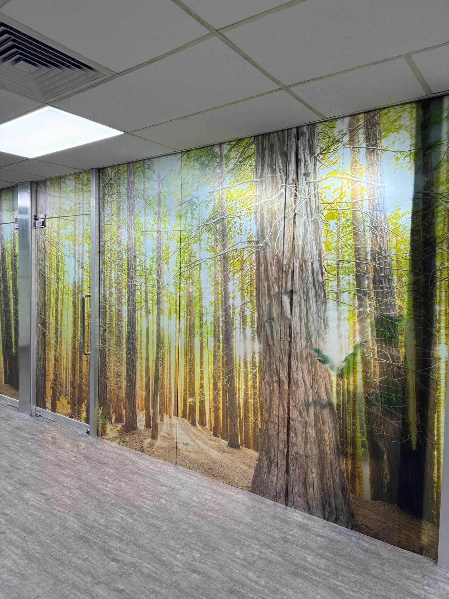 Forest wall mural along an office corridor — Wall Mural by Garrison Productions, Singapore